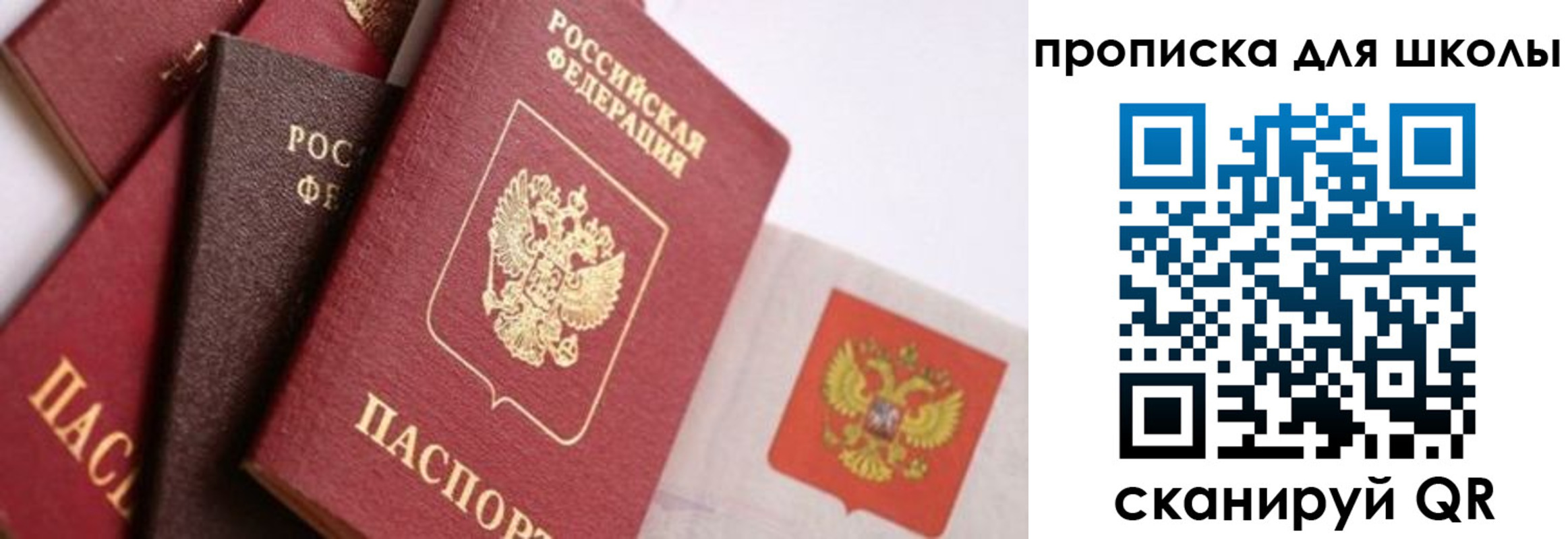 прописка поиск в Видном